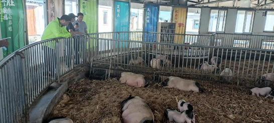 1656159059476106.png 004a.png